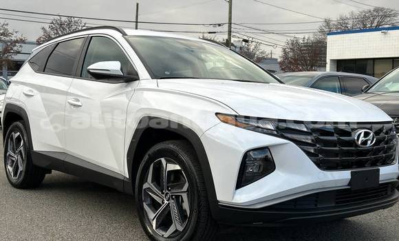 Buy Used Hyundai Tucson White Car in St John's in Antigua