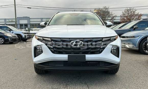 Buy Used Hyundai Tucson White Car in St John's in Antigua Buy Used Hyundai Tucson White Car in St John's in Antigua