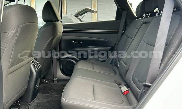 Buy Used Hyundai Tucson White Car in St John's in Antigua Buy Used Hyundai Tucson White Car in St John's in Antigua