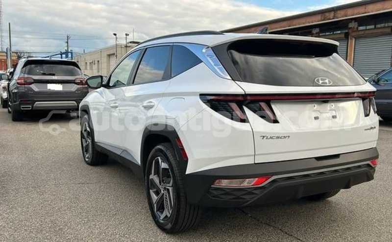 Big with watermark hyundai tucson antigua st john s 4736