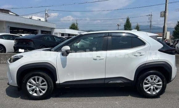 Buy Used Toyota Yaris White Car in St John's in Antigua Buy Used Toyota Yaris White Car in St John's in Antigua