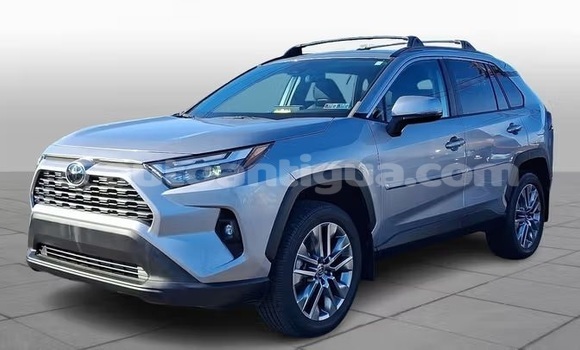 Buy Used Toyota RAV4 Silver Car in St John's in Antigua