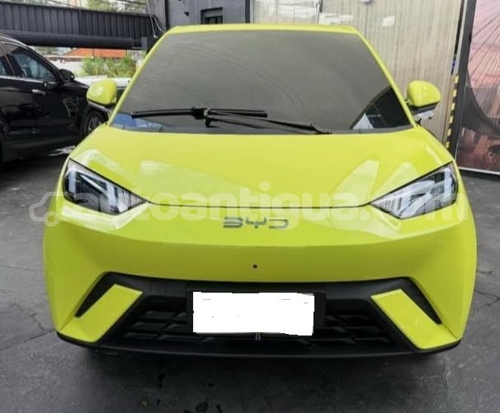 Big with watermark byd s6 antigua st john s 4746