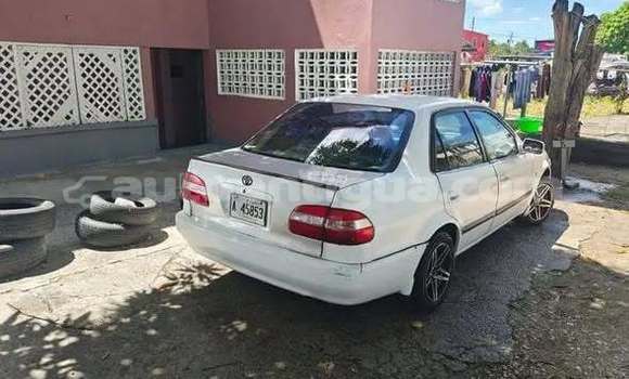 Buy Used Toyota Corolla Other Car in St John's in Antigua