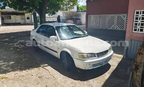 Buy Used Toyota Corolla Other Car in St John's in Antigua Buy Used Toyota Corolla Other Car in St John's in Antigua