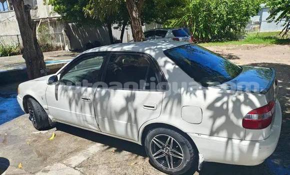 Buy Used Toyota Corolla Other Car in St John's in Antigua Buy Used Toyota Corolla Other Car in St John's in Antigua
