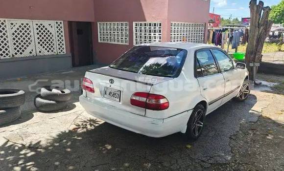 Buy Used Toyota Corolla Other Car in St John's in Antigua Buy Used Toyota Corolla Other Car in St John's in Antigua