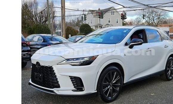 Buy Used Lexus RX 350 White Car in St John's in Antigua