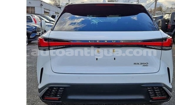 Buy Used Lexus RX 350 White Car in St John's in Antigua