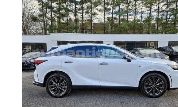 Buy Used Lexus RX 350 White Car in St John's in Antigua Buy Used Lexus RX 350 White Car in St John's in Antigua