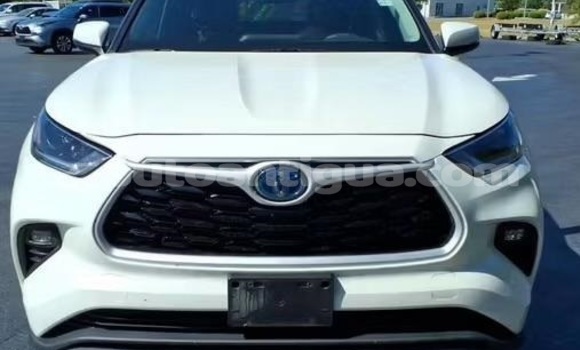 Buy Used Toyota Highlander White Car in St John's in Antigua