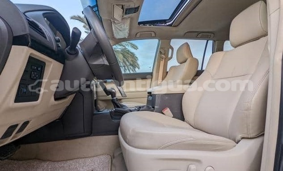 Buy Used Toyota Land Cruiser Prado Other Car in St John's in Antigua Buy Used Toyota Land Cruiser Prado Other Car in St John's in Antigua