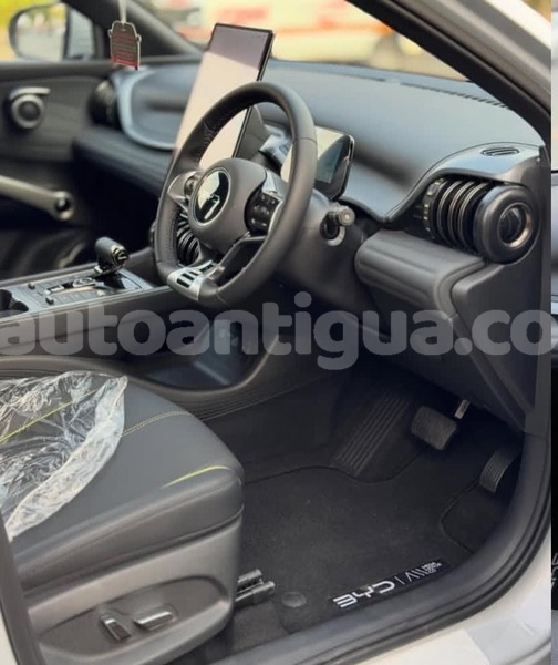 Big with watermark byd f3 antigua st john s 4795