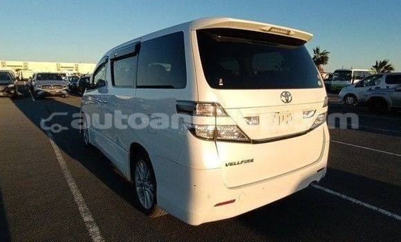 Buy Used Toyota Vellfire Other Car in St John's in Antigua Buy Used Toyota Vellfire Other Car in St John's in Antigua