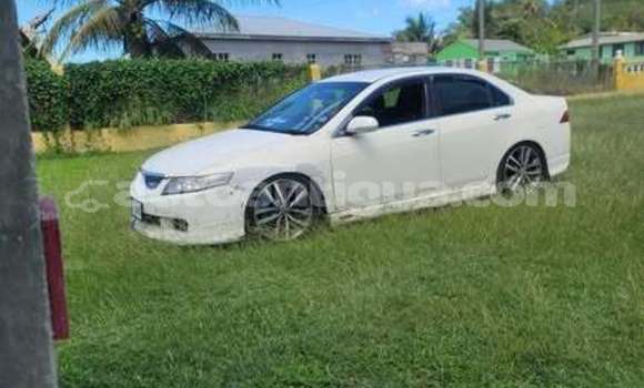 Buy Used Honda Accord Other Car in St John's in Antigua