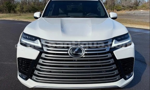 Buy Used Lexus LX White Car in Cedar Grove in Antigua