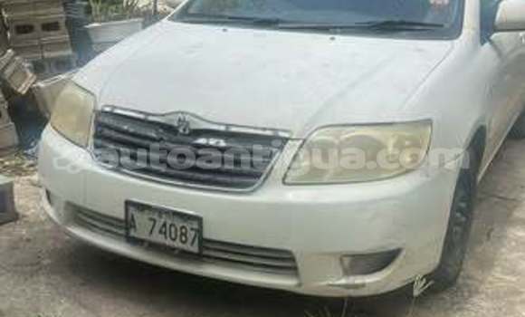 Buy Used Toyota Corolla Other Car in All Saints in Antigua