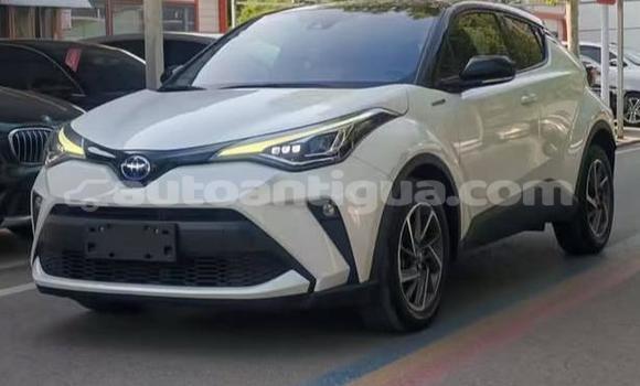 Buy Used Toyota C-HR White Car in St John's in Antigua