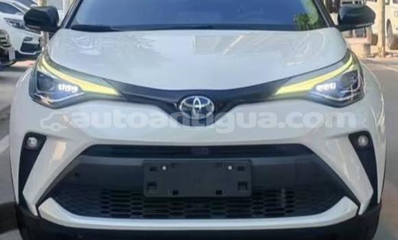 Buy Used Toyota C-HR White Car in St John's in Antigua Buy Used Toyota C-HR White Car in St John's in Antigua