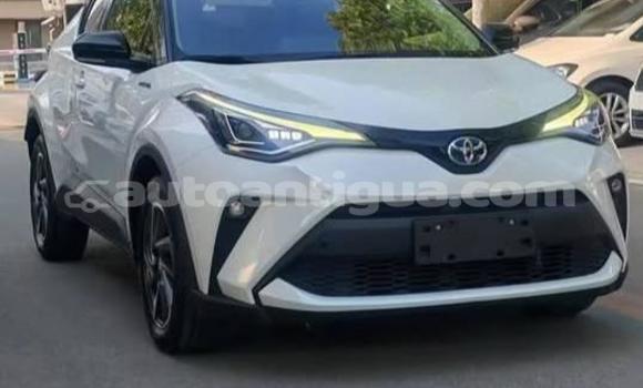 Buy Used Toyota C-HR White Car in St John's in Antigua Buy Used Toyota C-HR White Car in St John's in Antigua