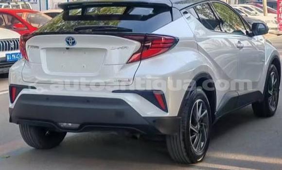 Buy Used Toyota C-HR White Car in St John's in Antigua Buy Used Toyota C-HR White Car in St John's in Antigua