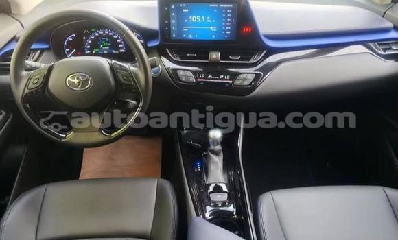 Buy Used Toyota C-HR White Car in St John's in Antigua Buy Used Toyota C-HR White Car in St John's in Antigua