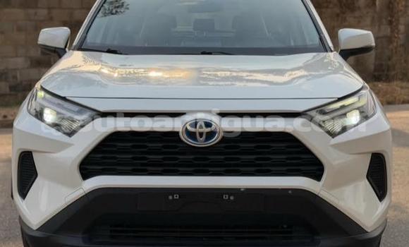 Buy Used Toyota RAV4 White Car in St John's in Antigua