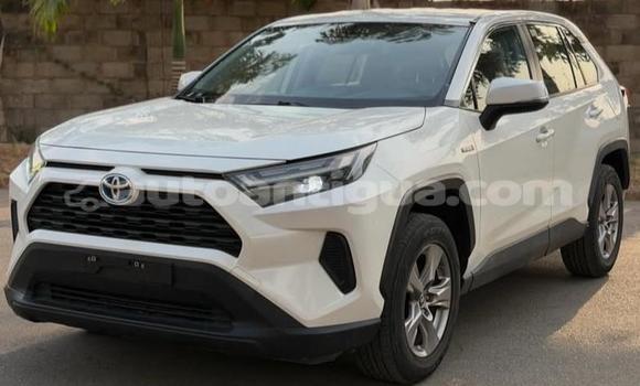 Buy Used Toyota RAV4 White Car in St John's in Antigua Buy Used Toyota RAV4 White Car in St John's in Antigua