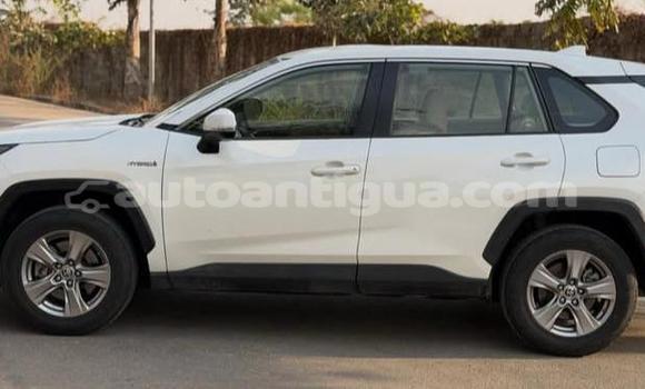 Buy Used Toyota RAV4 White Car in St John's in Antigua Buy Used Toyota RAV4 White Car in St John's in Antigua