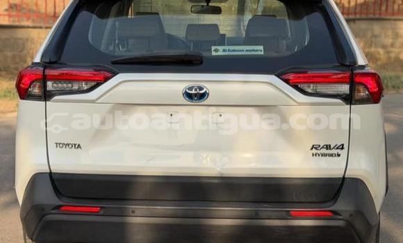 Buy Used Toyota RAV4 White Car in St John's in Antigua Buy Used Toyota RAV4 White Car in St John's in Antigua