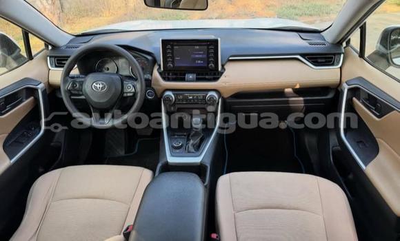 Buy Used Toyota RAV4 White Car in St John's in Antigua Buy Used Toyota RAV4 White Car in St John's in Antigua