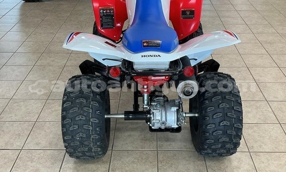 Buy New Honda TRX Other Bike in Codrington in Antigua Buy New Honda TRX Other Bike in Codrington in Antigua