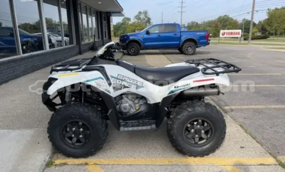 Buy New Kawasaki Brute Force Other Bike in Cedar Grove in Antigua Buy New Kawasaki Brute Force Other Bike in Cedar Grove in Antigua