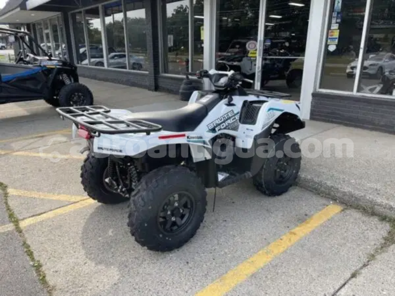 Big with watermark kawasaki brute force antigua cedar grove 4834