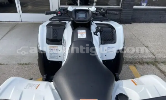 Buy New Kawasaki Brute Force Other Bike in Cedar Grove in Antigua Buy New Kawasaki Brute Force Other Bike in Cedar Grove in Antigua