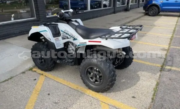 Buy New Kawasaki Brute Force Other Bike in Cedar Grove in Antigua Buy New Kawasaki Brute Force Other Bike in Cedar Grove in Antigua