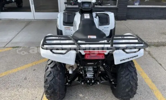 Buy New Kawasaki Brute Force Other Bike in Cedar Grove in Antigua Buy New Kawasaki Brute Force Other Bike in Cedar Grove in Antigua
