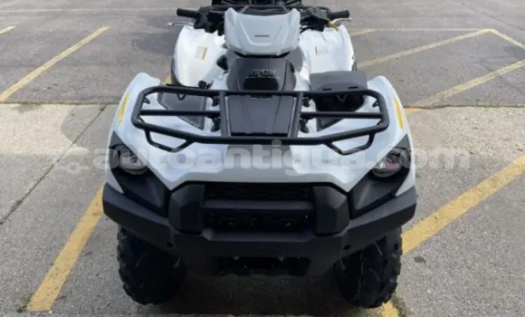 Buy New Kawasaki Brute Force Other Bike in Cedar Grove in Antigua Buy New Kawasaki Brute Force Other Bike in Cedar Grove in Antigua