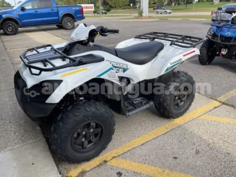 Big with watermark kawasaki brute force antigua cedar grove 4834