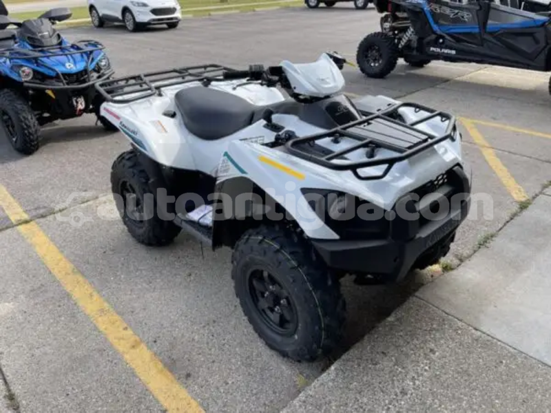 Big with watermark kawasaki brute force antigua cedar grove 4834