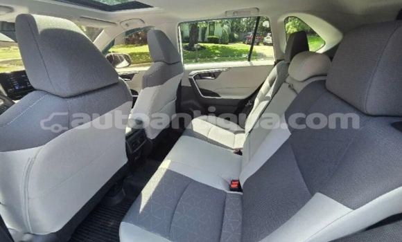 Buy Used Toyota RAV4 White Car in Carlisle in Antigua Buy Used Toyota RAV4 White Car in Carlisle in Antigua