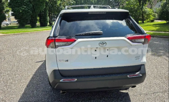 Buy Used Toyota RAV4 White Car in Carlisle in Antigua Buy Used Toyota RAV4 White Car in Carlisle in Antigua