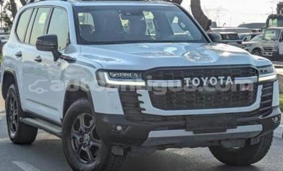 Buy Used Toyota Land Cruiser White Car in St John's in Antigua