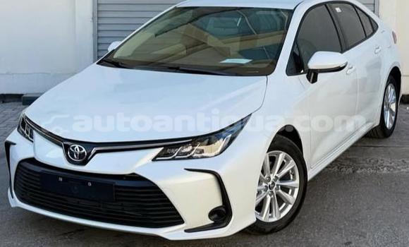 Buy Used Toyota Corolla White Car in St John's in Antigua