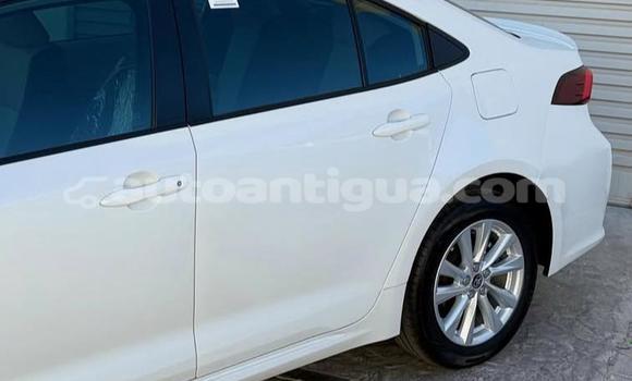 Buy Used Toyota Corolla White Car in St John's in Antigua Buy Used Toyota Corolla White Car in St John's in Antigua