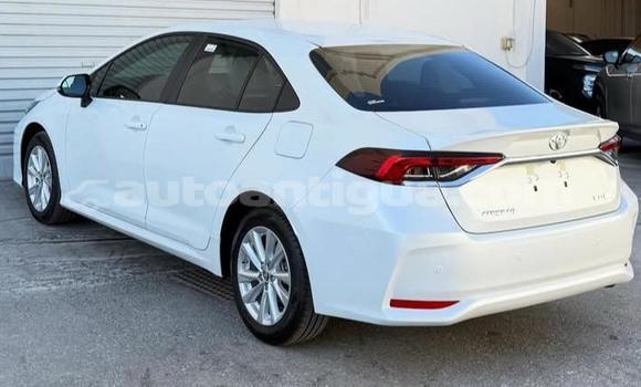 Buy Used Toyota Corolla White Car in St John's in Antigua Buy Used Toyota Corolla White Car in St John's in Antigua