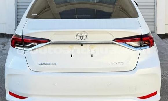 Buy Used Toyota Corolla White Car in St John's in Antigua Buy Used Toyota Corolla White Car in St John's in Antigua