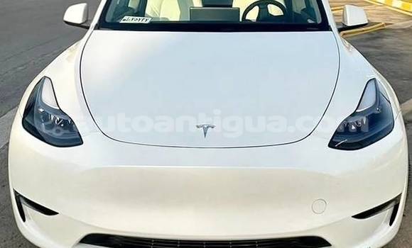 Buy Used Tesla Model X White Car in St John's in Antigua