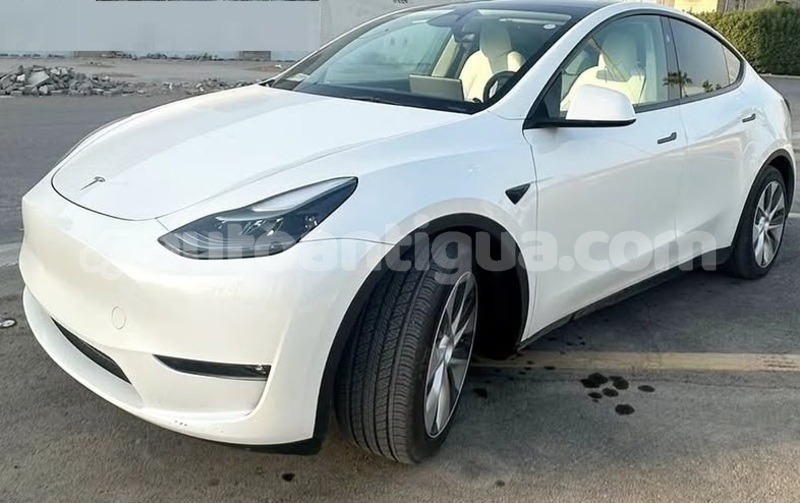 Big with watermark tesla model x antigua st john s 4843