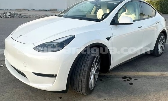 Buy Used Tesla Model X White Car in St John's in Antigua Buy Used Tesla Model X White Car in St John's in Antigua